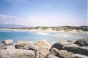 is Arénas Bild 2